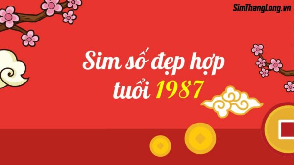 Mách bạn #5 cách chọn sim hợp tuổi 1987