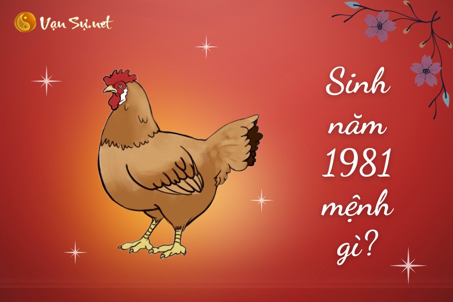 Sinh năm 1981 tuổi gì mệnh gì