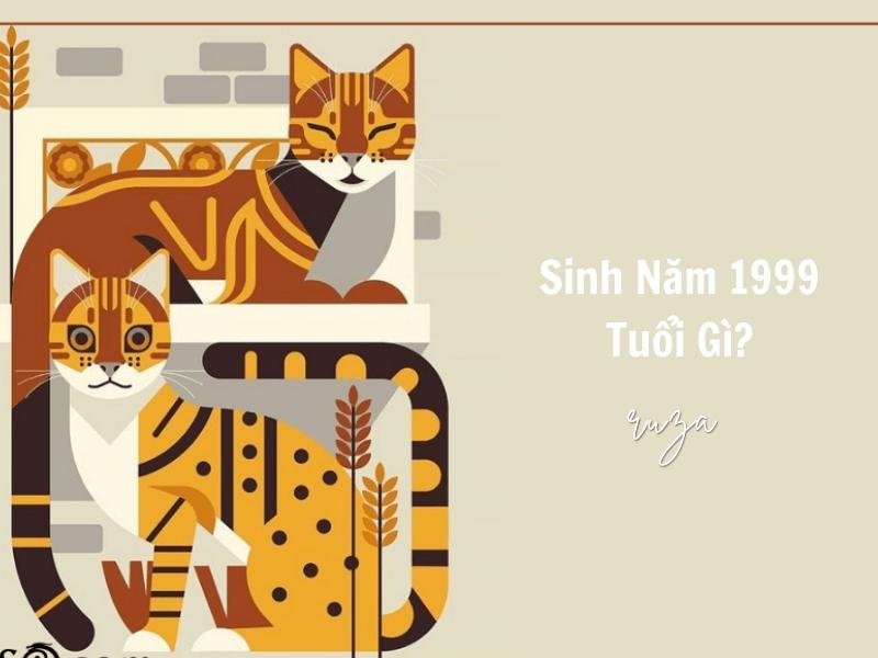 Sinh năm 1999 tuổi gì?