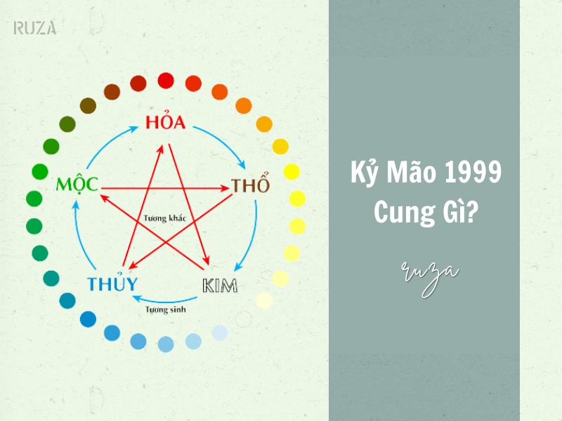 Kỷ Mão 199 thuộc cung nào?