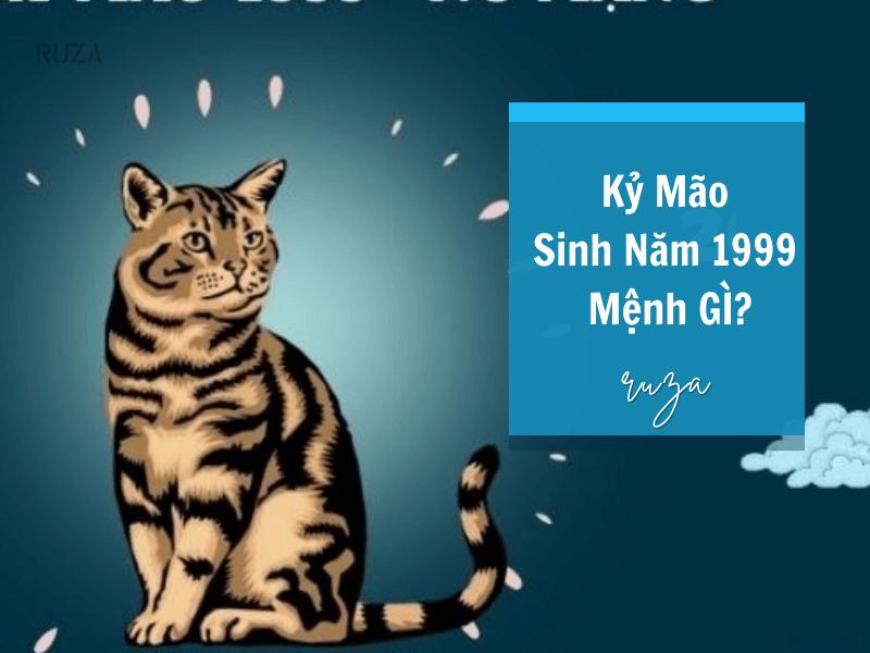 Sinh năm 1999 mệnh gì?