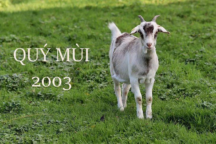 Quý Mùi 2003 nên lựa chọn hình xăm phù hợp để mang lại nhiều may mắn