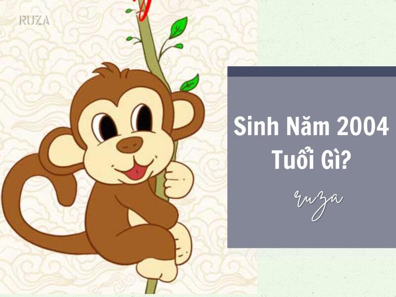 Sinh năm 2004 tuổi gì?