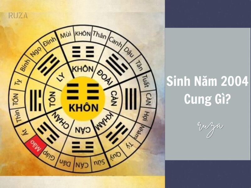 Sinh năm 2004 thuộc cung gì?