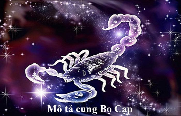 Mô tả đặc trưng về cung Bọ Cạp (24/10 - 22/11) 