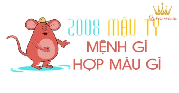 2008 Mệnh Gì? Tuổi Mậu Tý Hợp Màu Nào, Tuổi Nào?