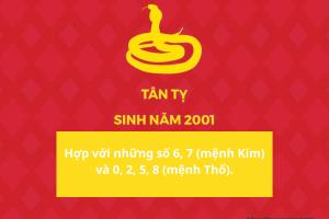 Nam, nữ Tân Tỵ sinh năm 2001 mệnh gì? Hợp màu nào, công việc gì?