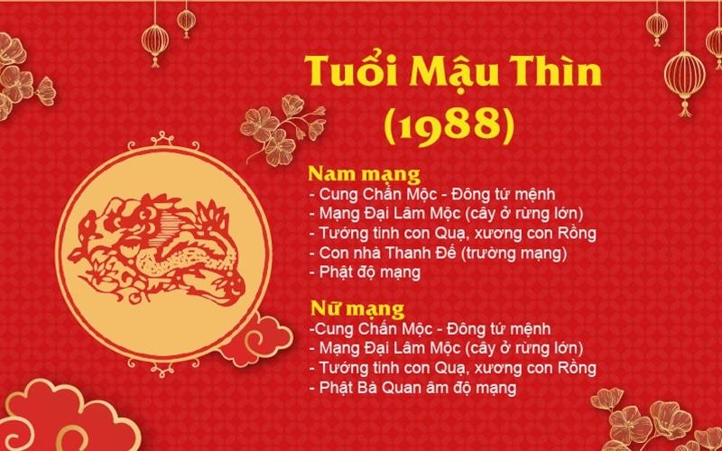 Tổng quan về tuổi Mậu Thìn 1988