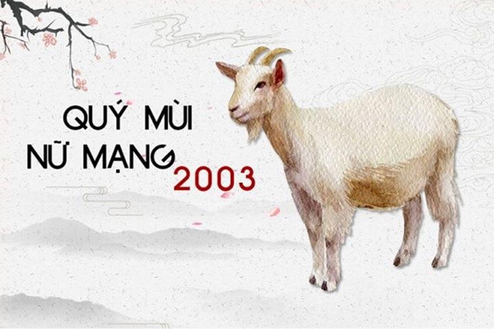 Khám phá bí ẩn 2003 hợp màu gì? Mệnh và Tính cách