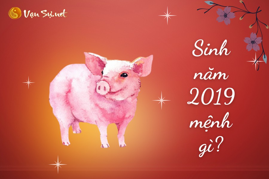 Sinh năm 2019 mệnh gì tuổi gì