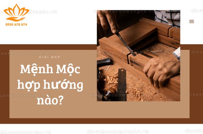 Mệnh Mộc hợp hướng nào? Chọn nhà, bàn làm việc hướng nào?