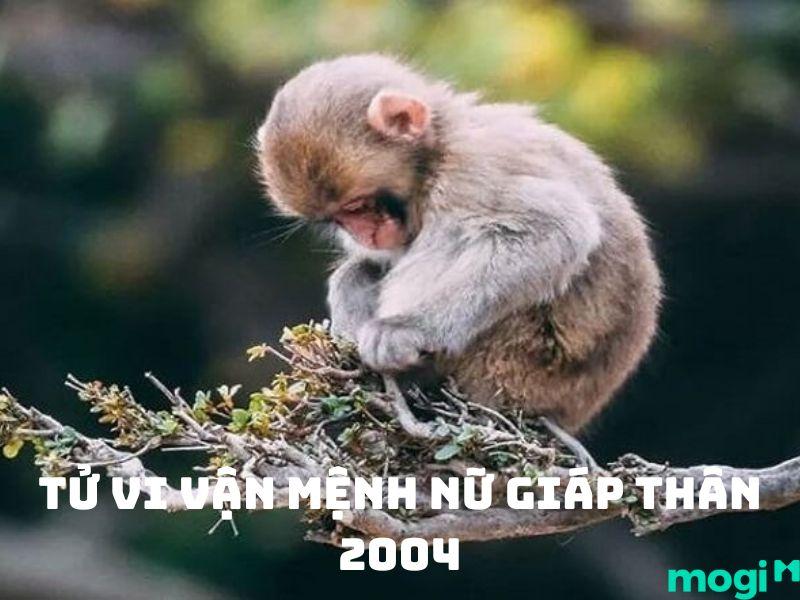 Sinh năm 2004 mệnh gì? Tử vi nữ sinh năm 2004