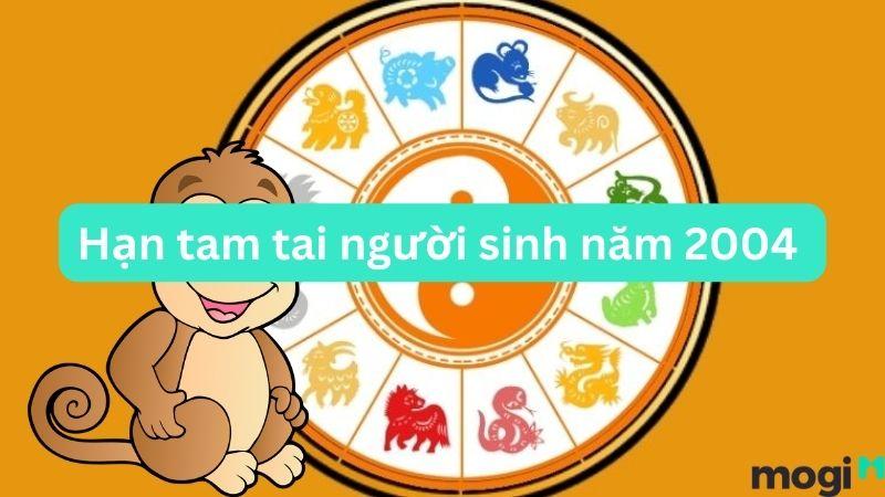 Người sinh năm 2004 mệnh gì và hạn tam tai của người tuổi Giáp Thân