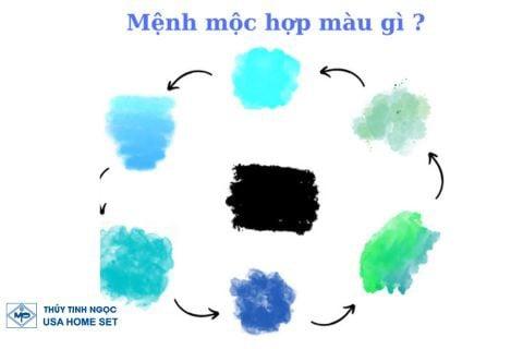 PHONG THỦY MỆNH MỘC HỢP MÀU GÌ?