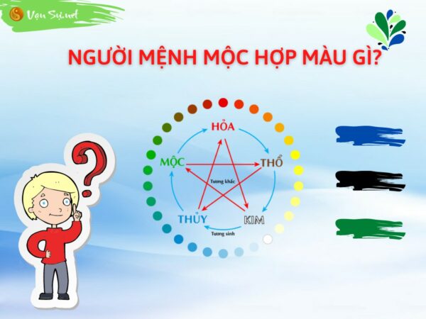 Mệnh Mộc hợp màu gì?