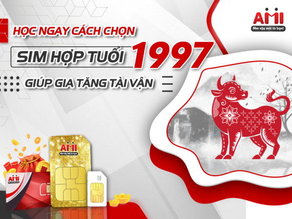 Tư Vấn Con Số Hợp Tuổi Đinh Sửu 1997 Cùng Phong Thủy AMI