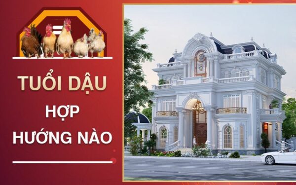 Sinh năm 1981 tuổi Tân Dậu hợp hướng nào?