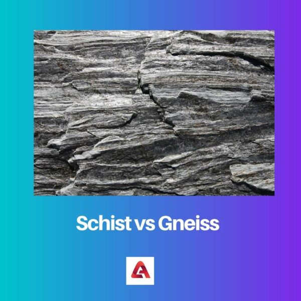 Schist vs Gneiss: Sự khác biệt và so sánh