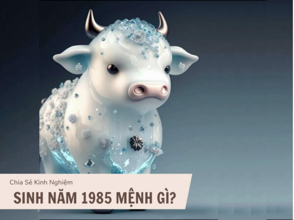 Sinh năm 1985 mệnh gì?