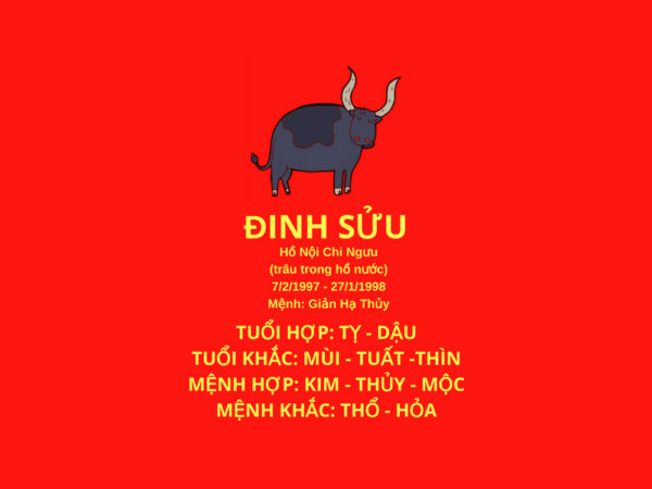 hinh anh tuoi dinh suu hop huong nao huong dan cach bo tri chi tiet so 1