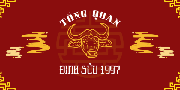 dinh-suu-1997-2