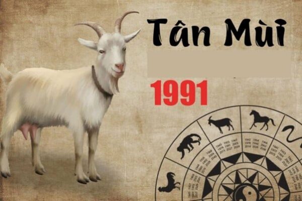 Hướng nhà hợp tuổi Tân Mùi - sinh năm 1991 là hướng nào?