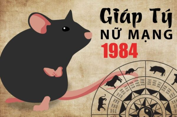 Xem tử vi tuổi Giáp Tý 1984 – Nữ mạng năm 2024 CHI TIẾT NHẤT