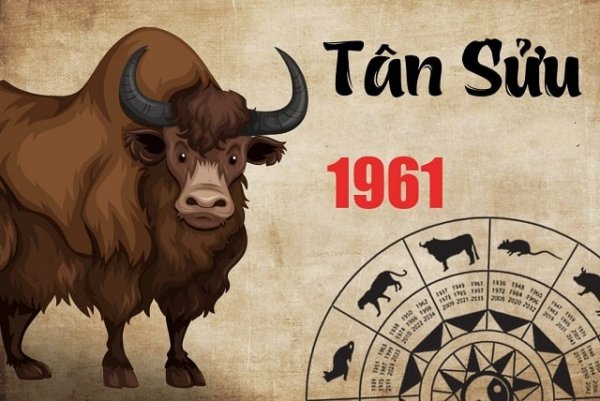 Xem tử vi tuổi Tân Sửu 1961 – Nam mạng năm 2024 CHI TIẾT NHẤT