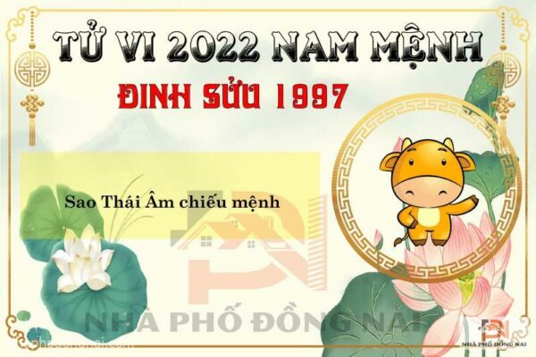 Xem Tử Vi Tuổi Đinh Sửu 1997 Năm 2022 Nam Mạng