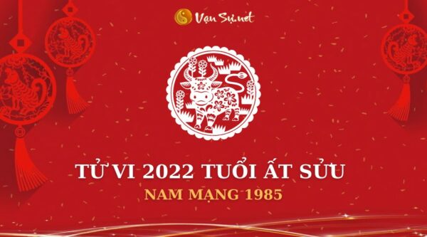 Tử Vi Tuổi Ất Sửu Năm 2022 – Nam Mạng 1985 Chi Tiết