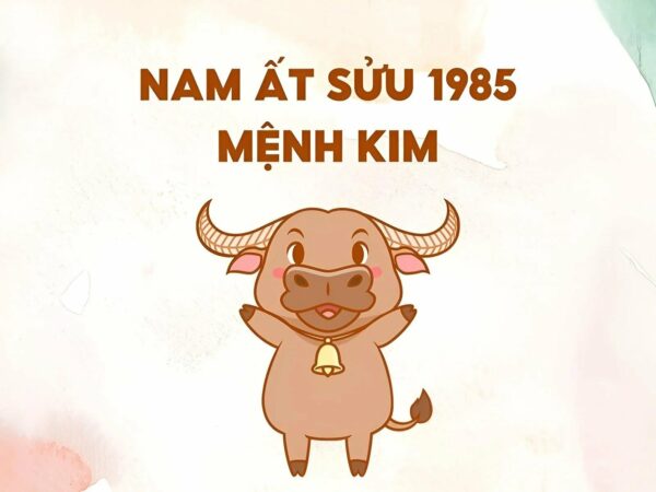 Xem tử vi tuổi Ất Sửu 1985 – Nam mạng năm 2024 CHI TIẾT NHẤT