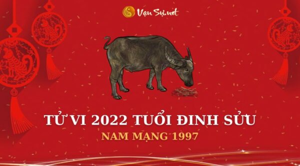 Tử Vi Tuổi Đinh Sửu Năm 2022 – Nam Mạng 1997 Chi Tiết