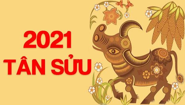 Người sinh vào năm 2021 thuộc năm Tân Sửu mệnh Thổ - Nguồn ảnh: Internet